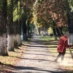 Падают листья: автосамосвалы и мусоровоз уберут с улиц Пинска опавшую листву