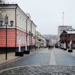 В Пинске утеплили молодые деревья в кадках