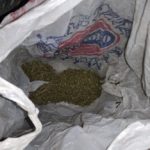 Житель Пинска решил навестить сестру в Бресте, имея при себе марихуану