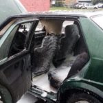 Автомобиль горел в Пинске. ФОТО