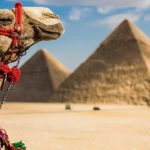22 путевки в Египет разыгрывает торговая сеть "Радуга"
