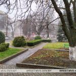 В Пинске местный житель избил подростка: возбуждено уголовное дело