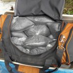 Десять лет в Пинске действовала преступная группа, занимавшаяся распространением наркотиков