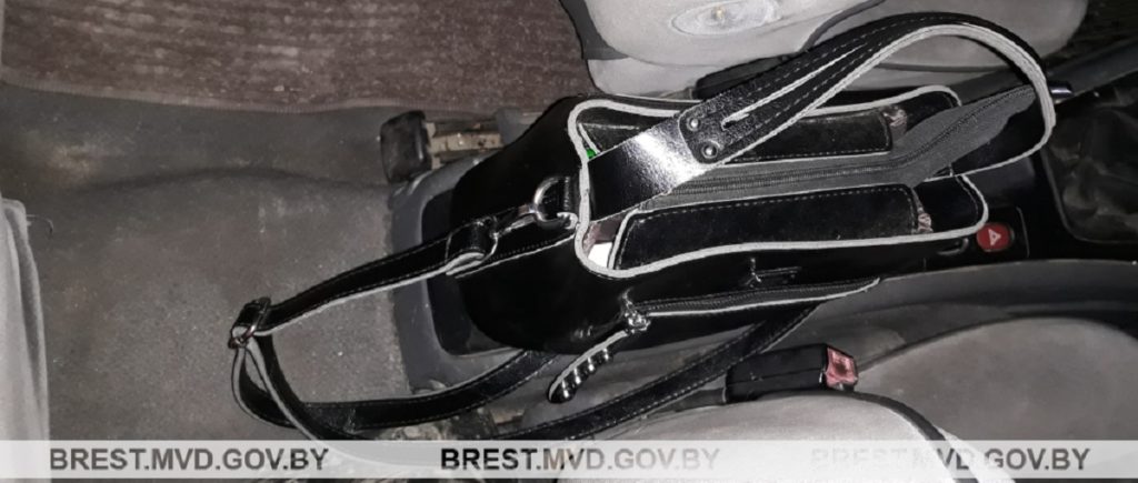 Пинчанин готов был приютить котенка, но прихватил и кошелек зоозащитницы Пинчанин готов был приютить котенка, но прихватил и кошелек зоозащитницы