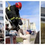 Работники МЧС в Пинске спасли кота, застрявшего между этажами