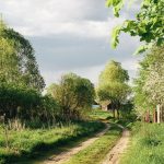 Новый экологический маршрут разработали в ландшафтном заказнике в Пинском районе