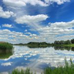 Синоптики рассказали, какой будет погода до конца лета