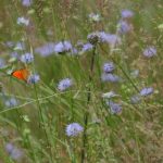 Как провести выходные 11 и 12 июля?