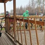 Украинцы рванули на белорусское Полесье за ягодами