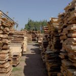 В Пинском районе лесничий провернул сделку с продукцией на сумму более семи тысяч рублей