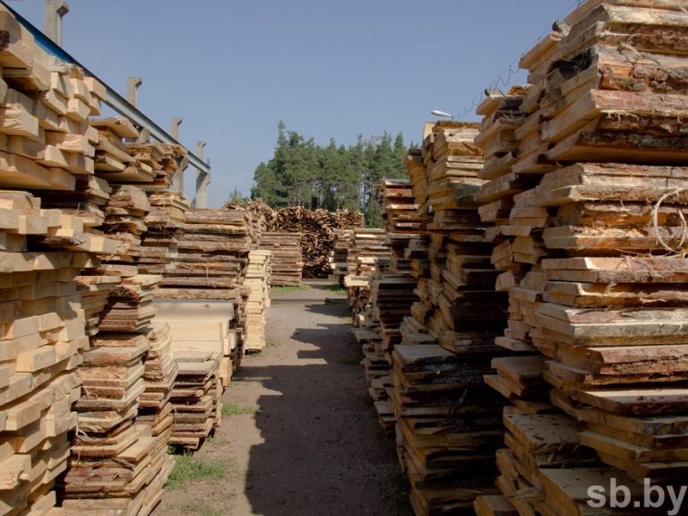 В Пинском районе лесничий провернул сделку с продукцией на сумму более семи тысяч рублей