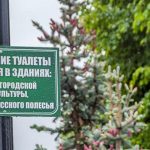 Туалеты в Пинске