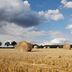 Найди 10 обнаженных женщин или искусство маскировки