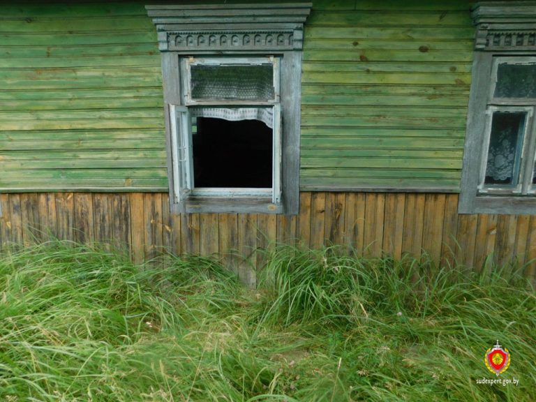 Совершившего кражу жителя Пинска вычислили по отпечаткам пальцев