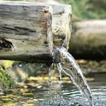 Расскажи о своем роднике: В Беларуси объявлен конкурс