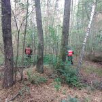 Пинские спасатели нашли в лесу заблудившуюся 97-летнюю женщину