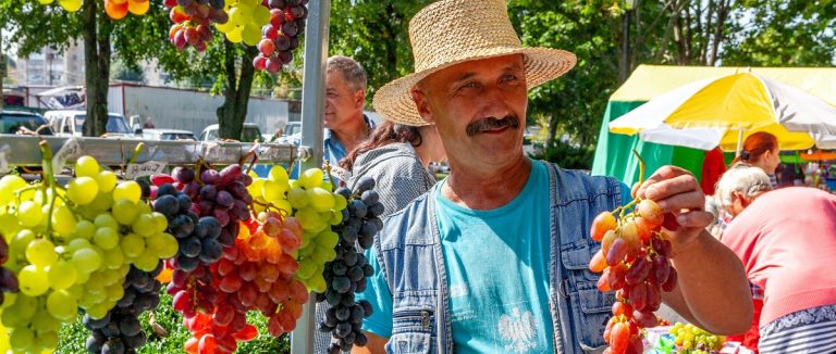 В Пинске прошла выставка лучшего винограда