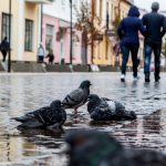 Как провести выходные 31 октября и 1 ноября? Как провести выходные 31 октября и 1 ноября?