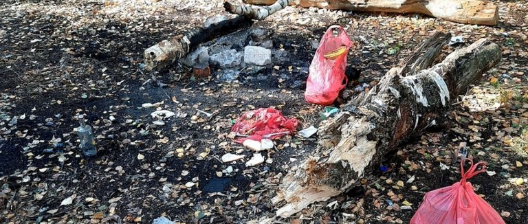 Свалка в лесу рядом с Пинском вызвала целую дискуссию в соцсети