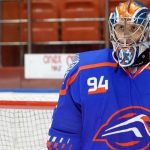 Бобарико уже в Пинске, а пернатые не смогли одолеть зубров