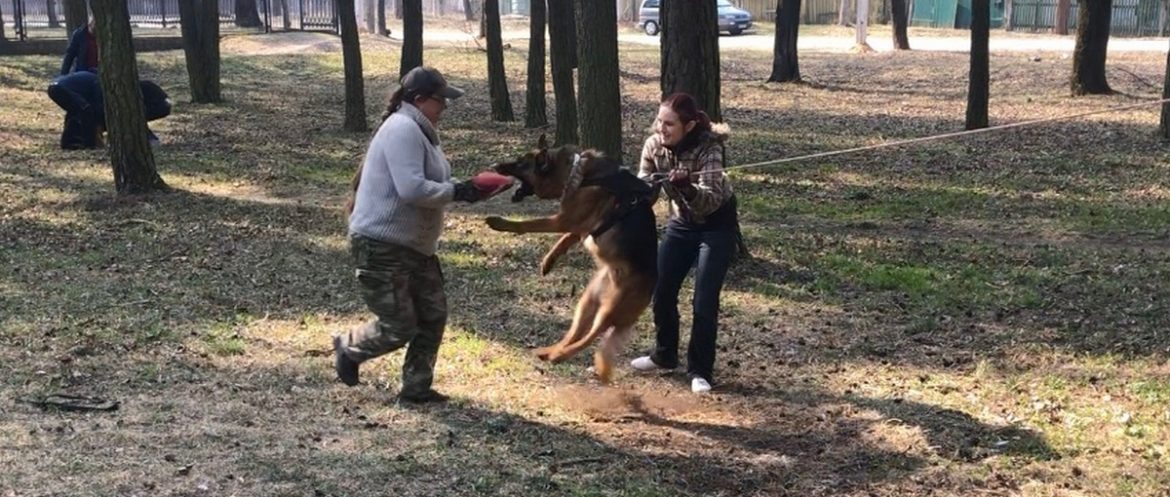 Женщина-кинолог, которая ставит на охрану собак и имеет собаку-терапевта живёт в Пинске Женщина-кинолог, которая ставит на охрану собак и имеет собаку-терапевта живёт в Пинске