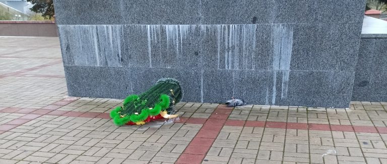 Фотофакт: В Пинске у Ленина опрокинут венок и мертвый голубь