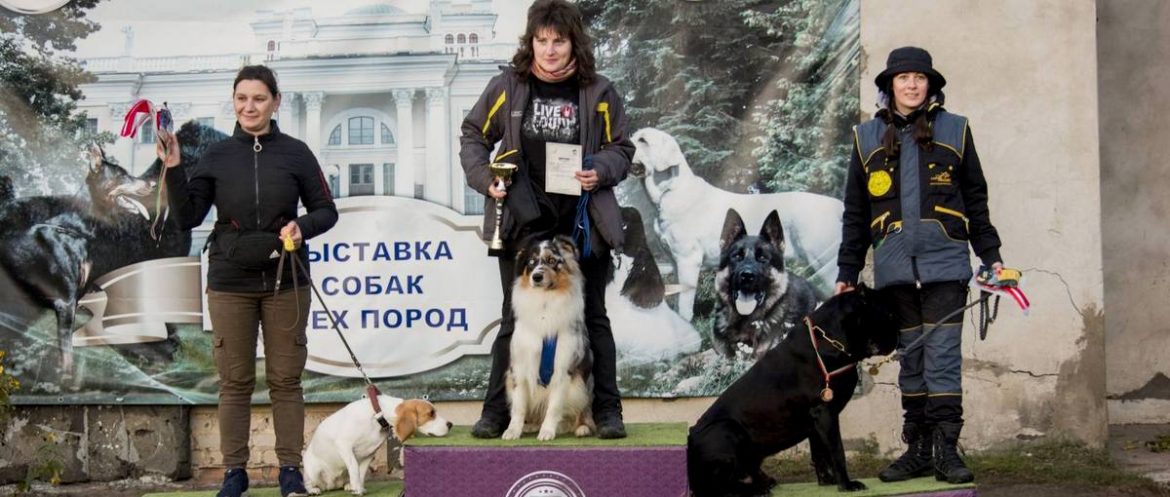 Собака, которую хотели усыпить, принесла серебряную медаль пинской команде по дог-фрисби Собака, которую хотели усыпить, принесла серебряную медаль пинской команде по дог-фрисби