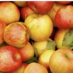 Цены на яблоки у оптовиков выше, чем на пинском рынке