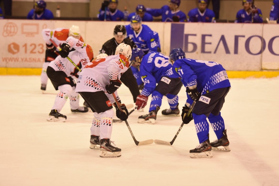 Пинские Ястребы