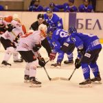 Пинские Ястребы