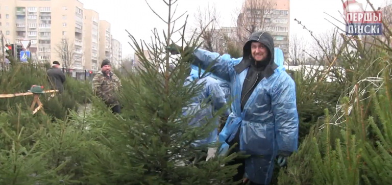На ёлочный базар на 44-м рынке приезжают новогодние деревья из разных уголков Полесья