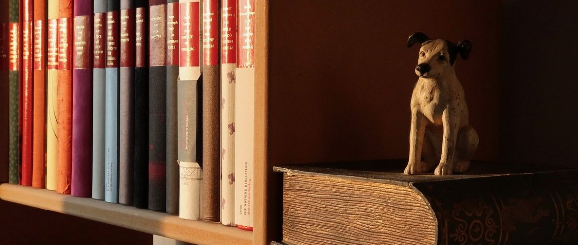 7 книг, которые перевернут ваше сознание 7 книг, которые перевернут ваше сознание