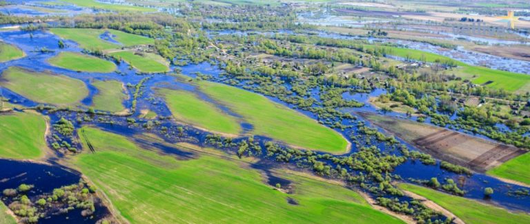 Принят проект водоохранных зон Пинского района Удалить элемент: проект водоохранных зон проект водоохранных зон