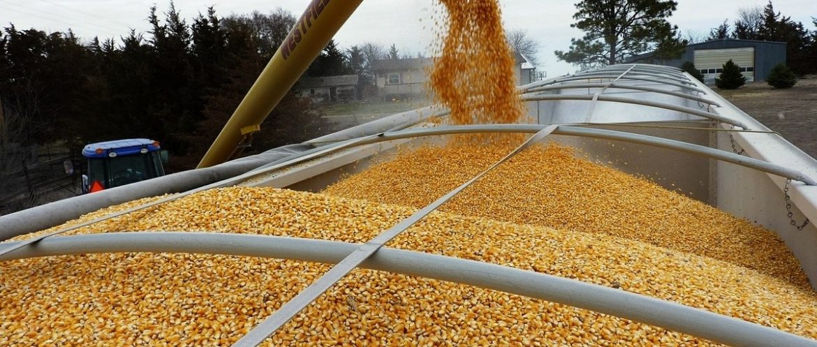 рост цен на продовольствие