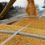 рост цен на продовольствие