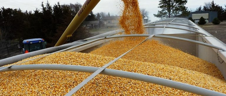 Мировые цены на продукты в 2020 году побили рекорд рост цен на продовольствие