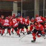 пинские ястребы авиатор