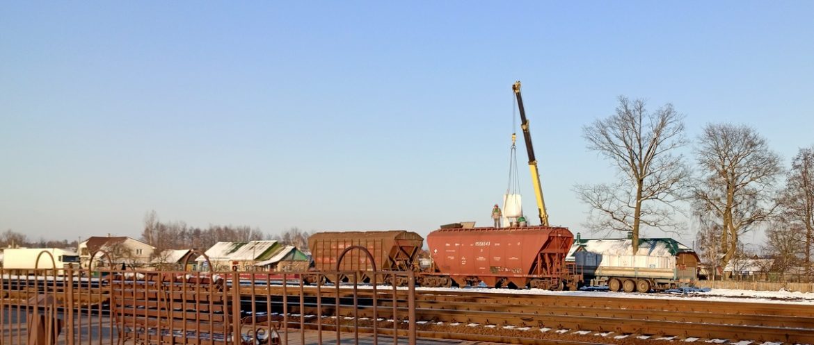Лесное хозяйство в пандемию сработало с прибылью Лесное хозяйство в пандемию сработало с прибылью
