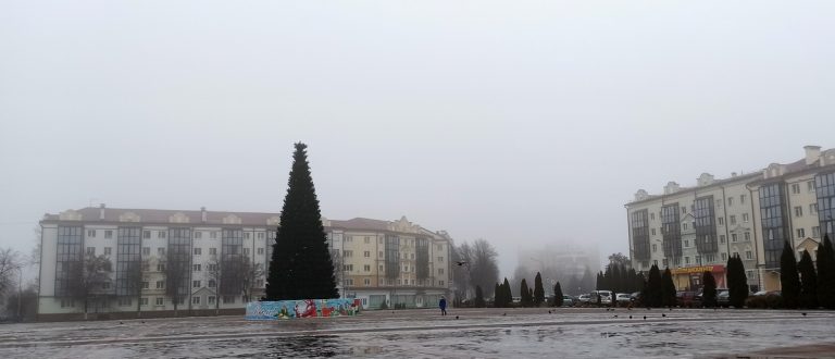 Соцсети обсуждают делегатов на Всебелорусское собрание от Пинска
