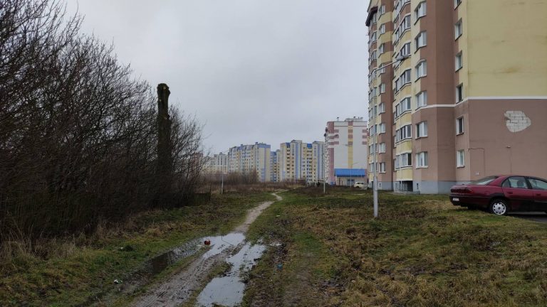Как в Радужном тополь превратился в колонну и, кто ответит за забор
