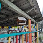 С каждым годом в Пинске птиц к кормушкам  прилетает все меньше