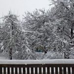 Похолодает до -25 °С: Где в Беларуси к концу недели ожидают настоящие крещенские морозы