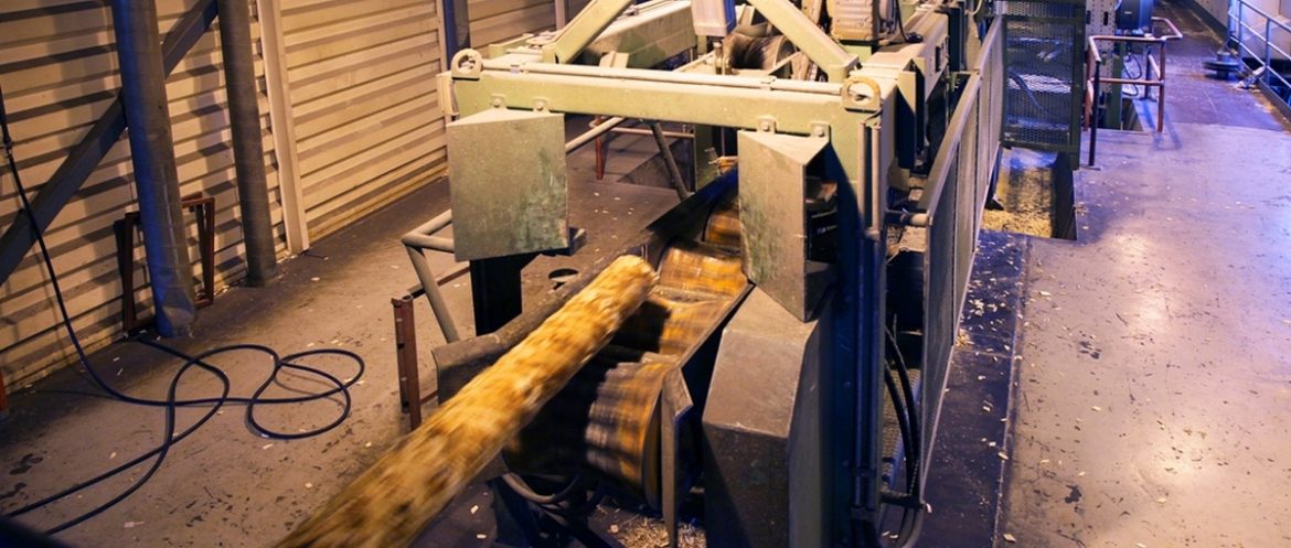 Пинский лесхоз