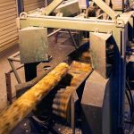 Пинский лесхоз