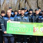 В Пинском районе посадили более 40 гектаров лесных насаждений