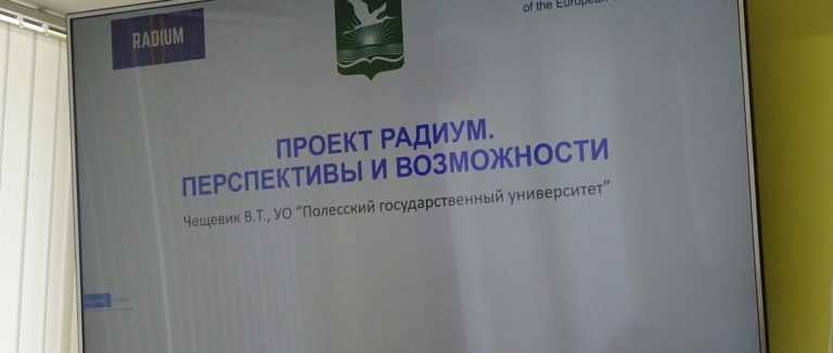 В Пинске обсудили ядерную и радиационную безопасность