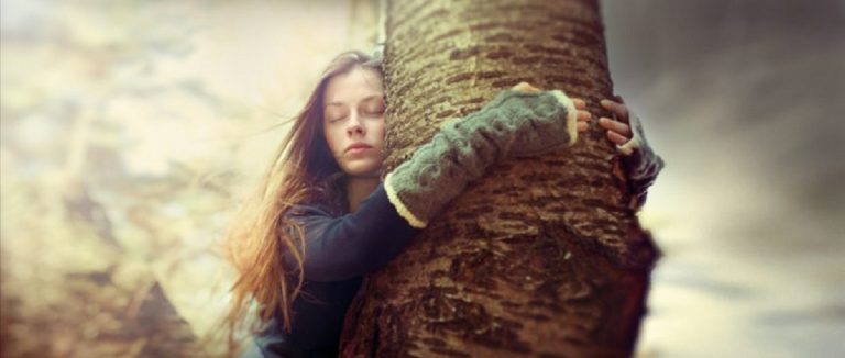 Деревья-доноры для «подзарядки» энергией