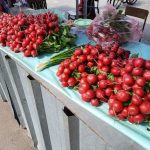 Почем редис на рынках в Пинске