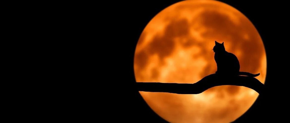 Лунное трио в последние майские дни