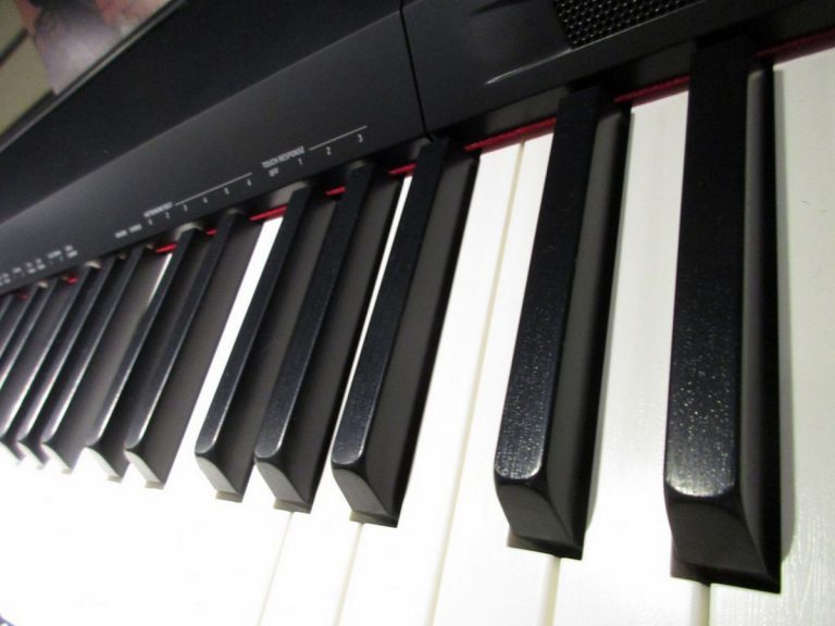 ТОП-5 цифровых пианино Casio ТОП-5 цифровых пианино Casio